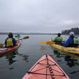 Elkhorn Slough Private Tour