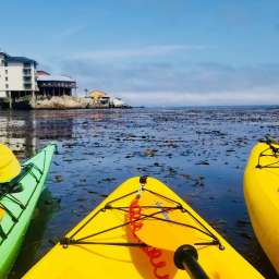 MONTEREY BAY Private Tour